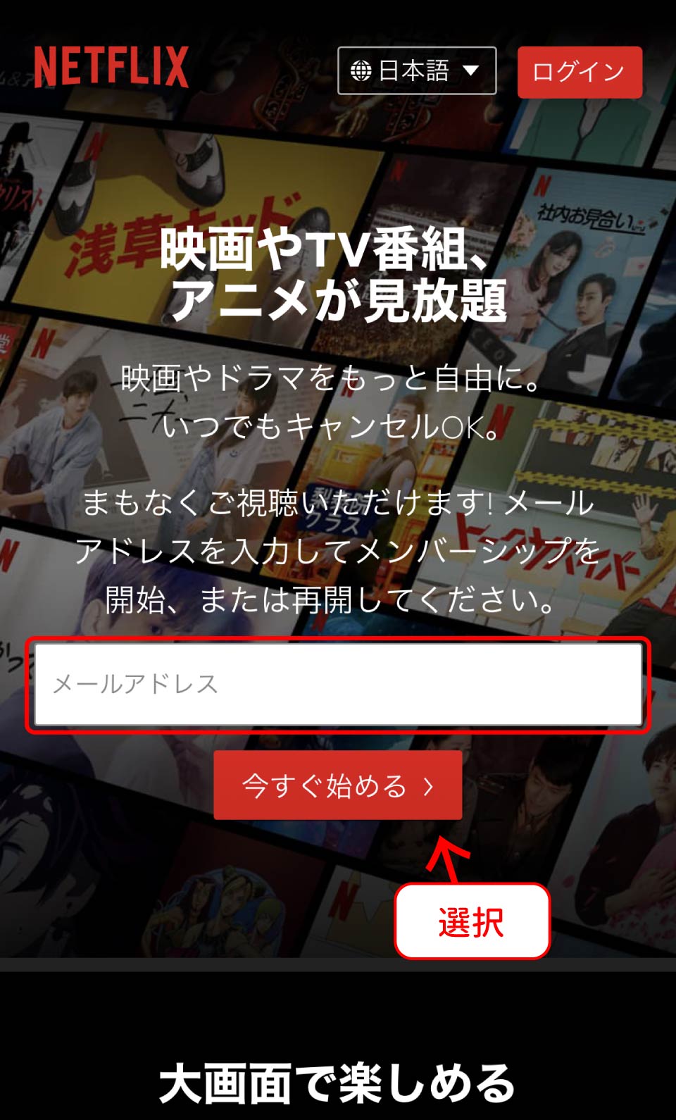 Netflix登録手順